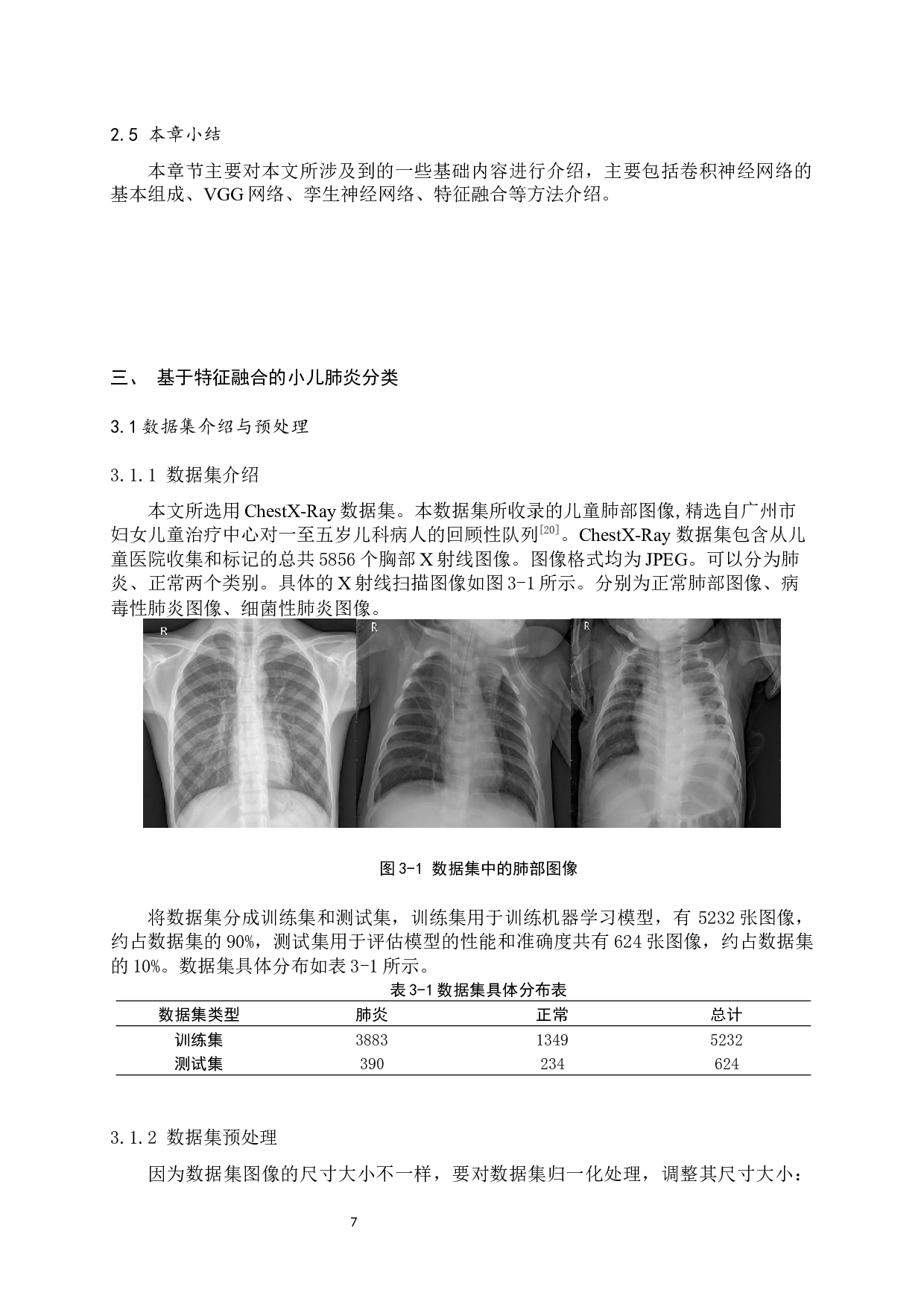 基于特征融合的小儿肺炎分类研究-10232字.docx 第10页