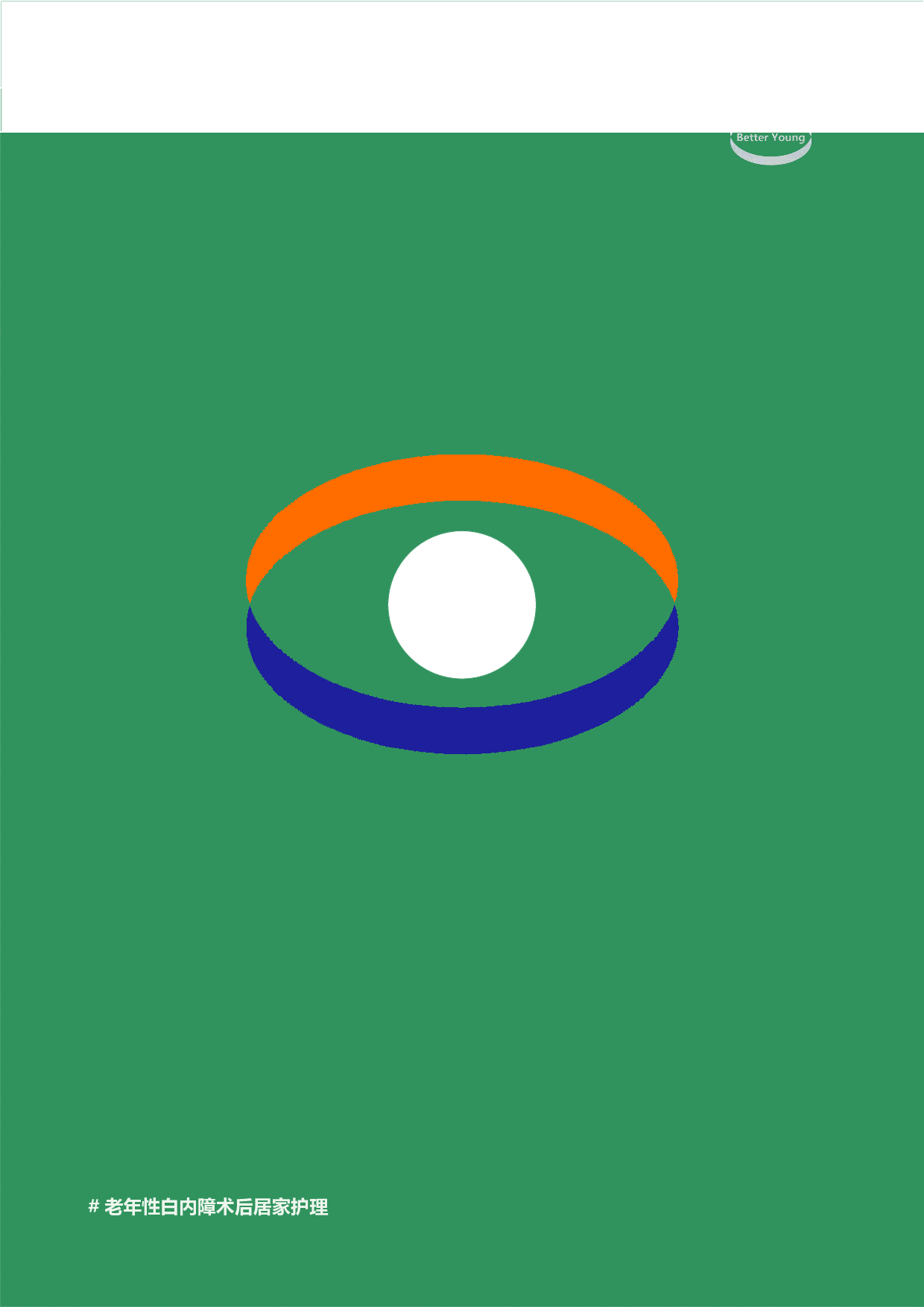 老年性白内障术后居家护理产品及服务设计-32624字.pdf 第9页