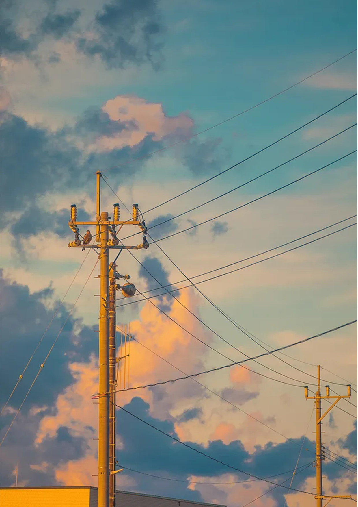 残障空巢老人远距离关爱产品设计-7070字.doc 第2页