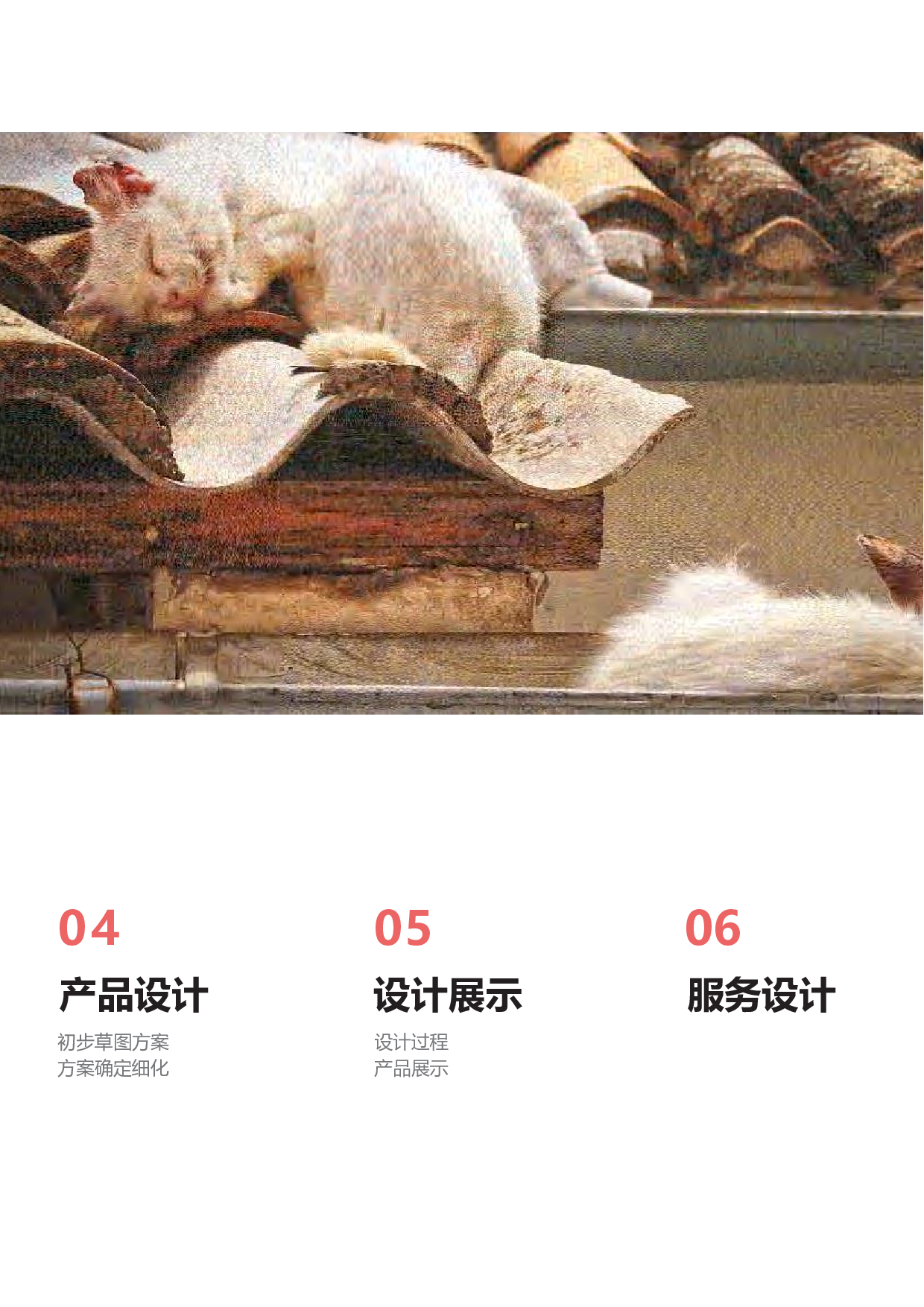 基于TNR的城市社区流浪猫救助服务设计-15303字.pdf 第3页