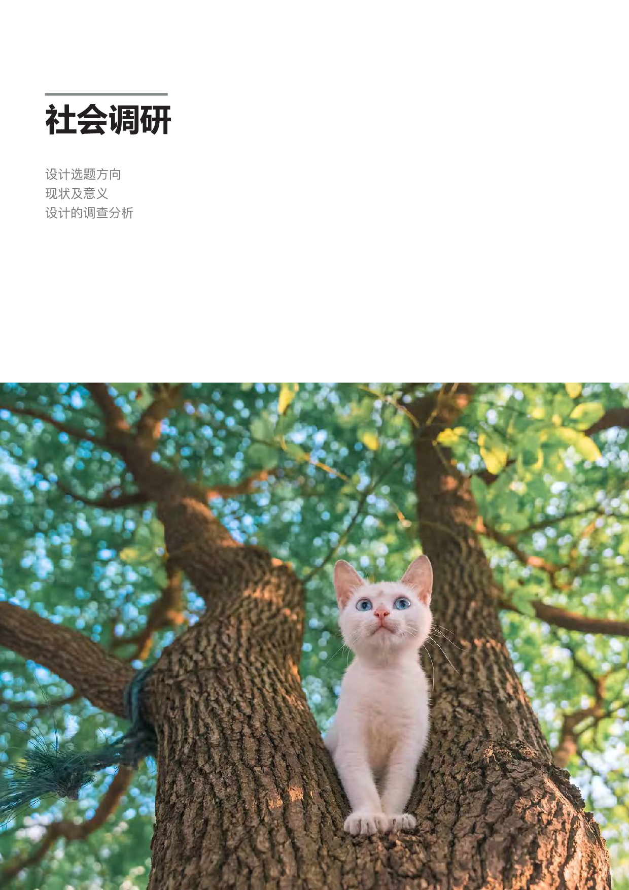 基于TNR的城市社区流浪猫救助服务设计-15303字.pdf 第4页