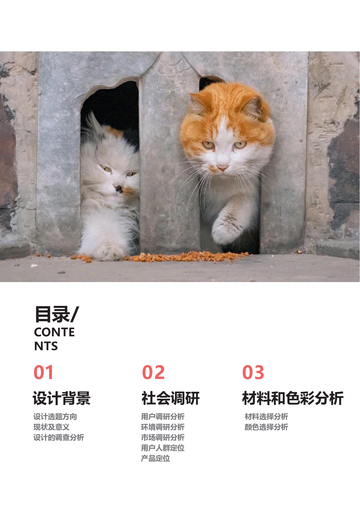 基于TNR的城市社区流浪猫救助服务设计-15303字.pdf 第2页