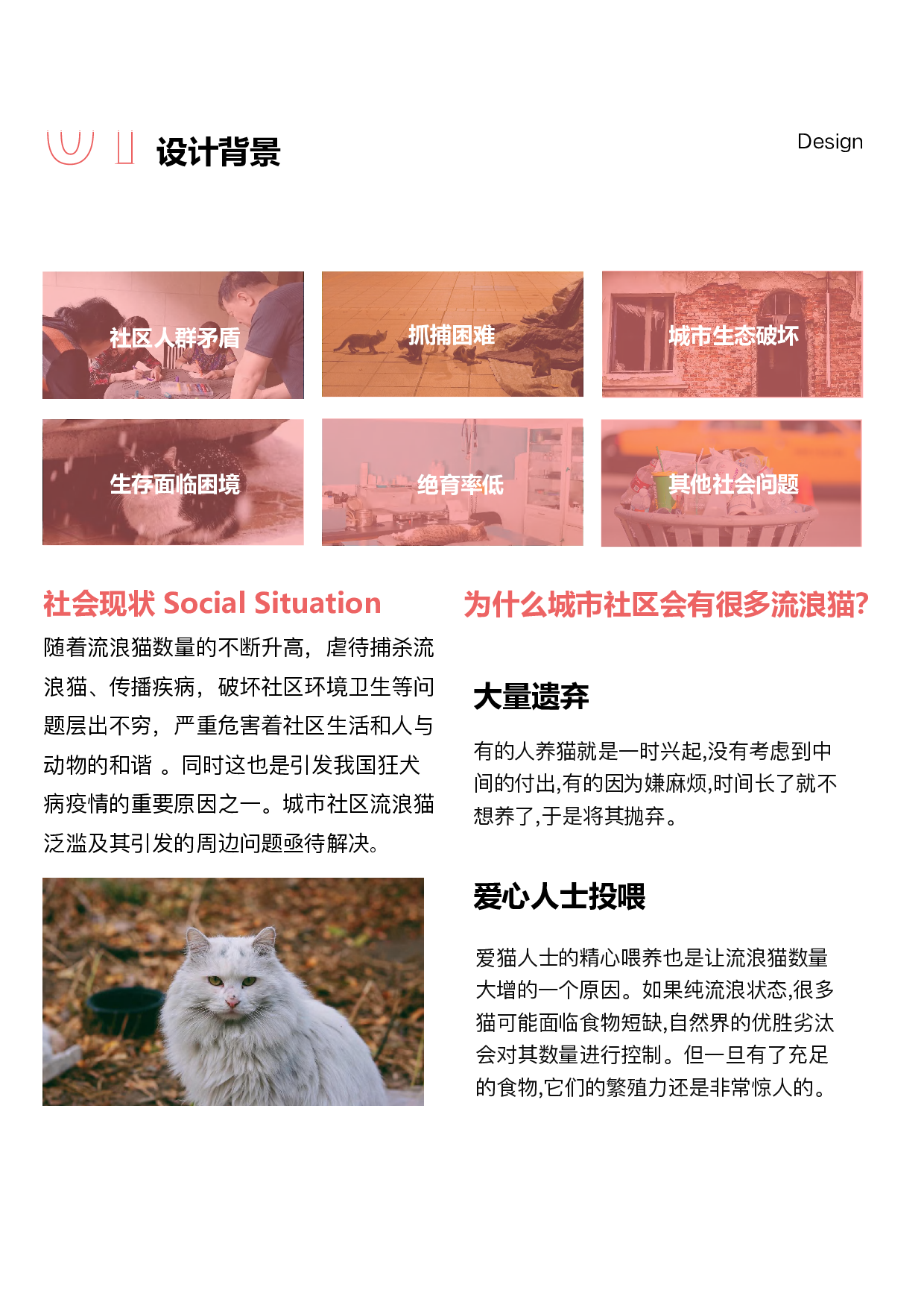 基于TNR的城市社区流浪猫救助服务设计-15303字.pdf 第8页