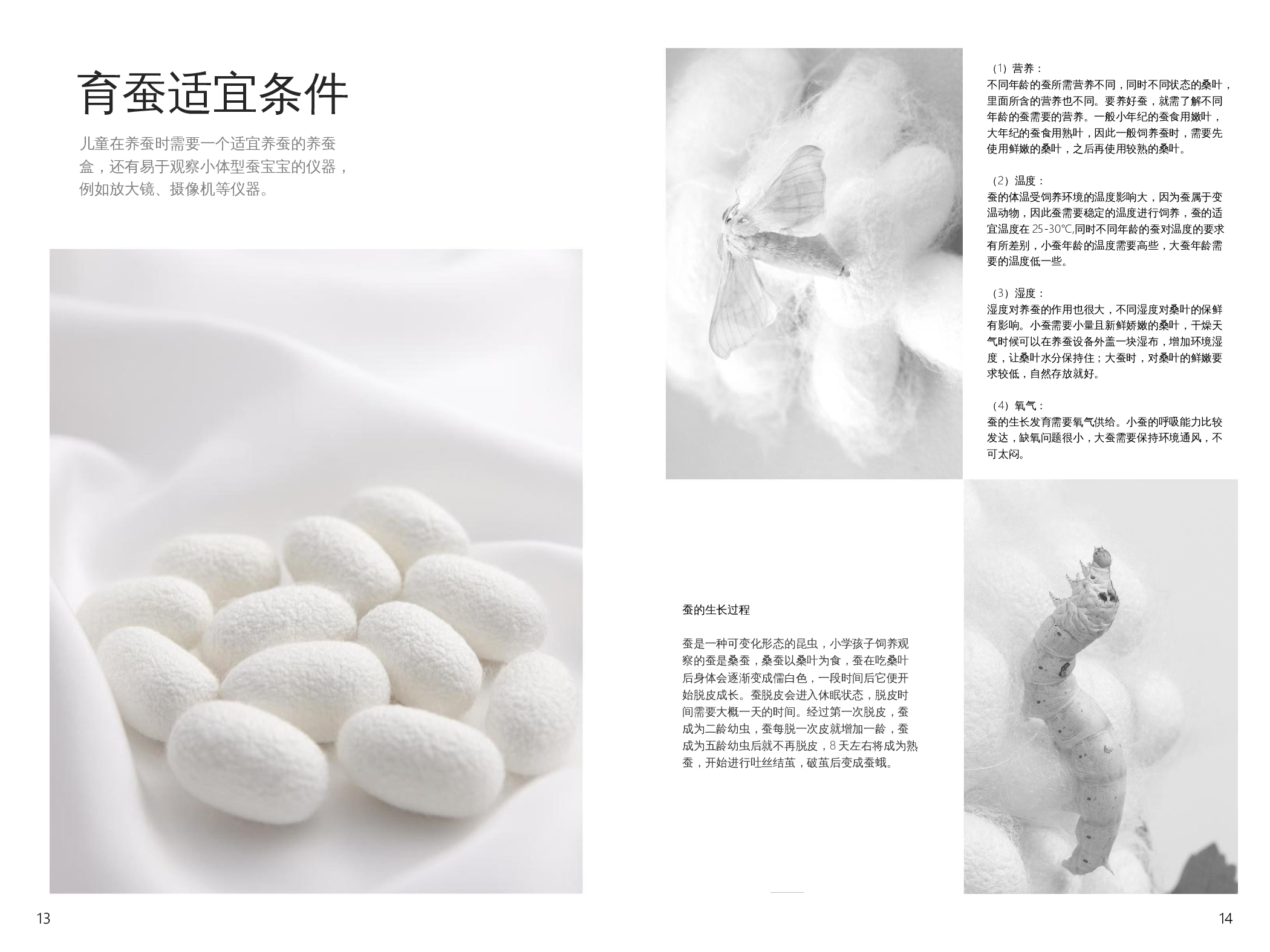 儿童智能趣味养蚕设备-7620字.docx 第10页