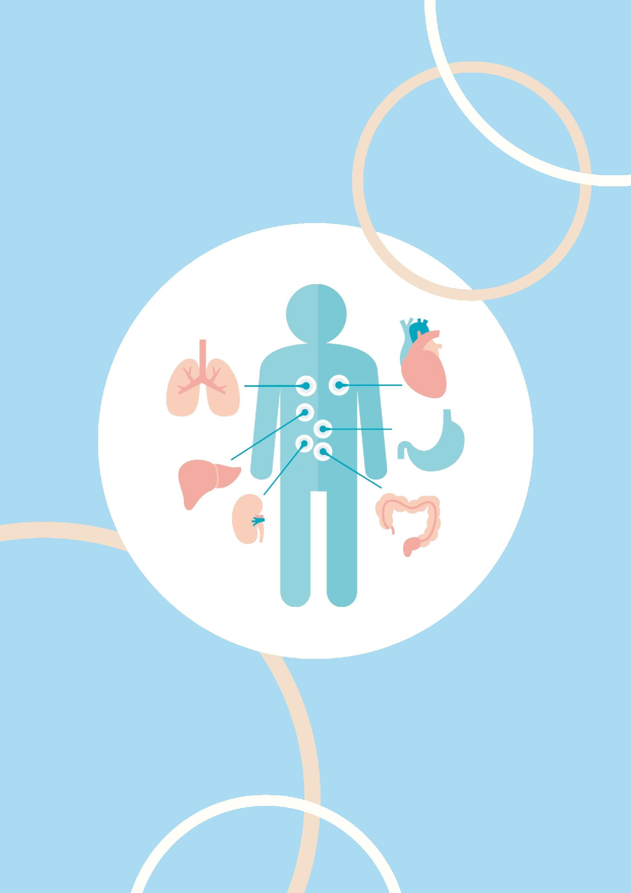 儿童人体认知玩具设计-14350字.docx 第2页