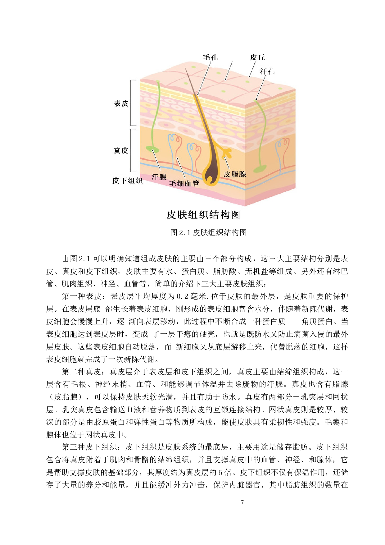 用于血糖浓度非创检测的光子轨迹蒙特卡洛模拟-14956字.docx 第10页