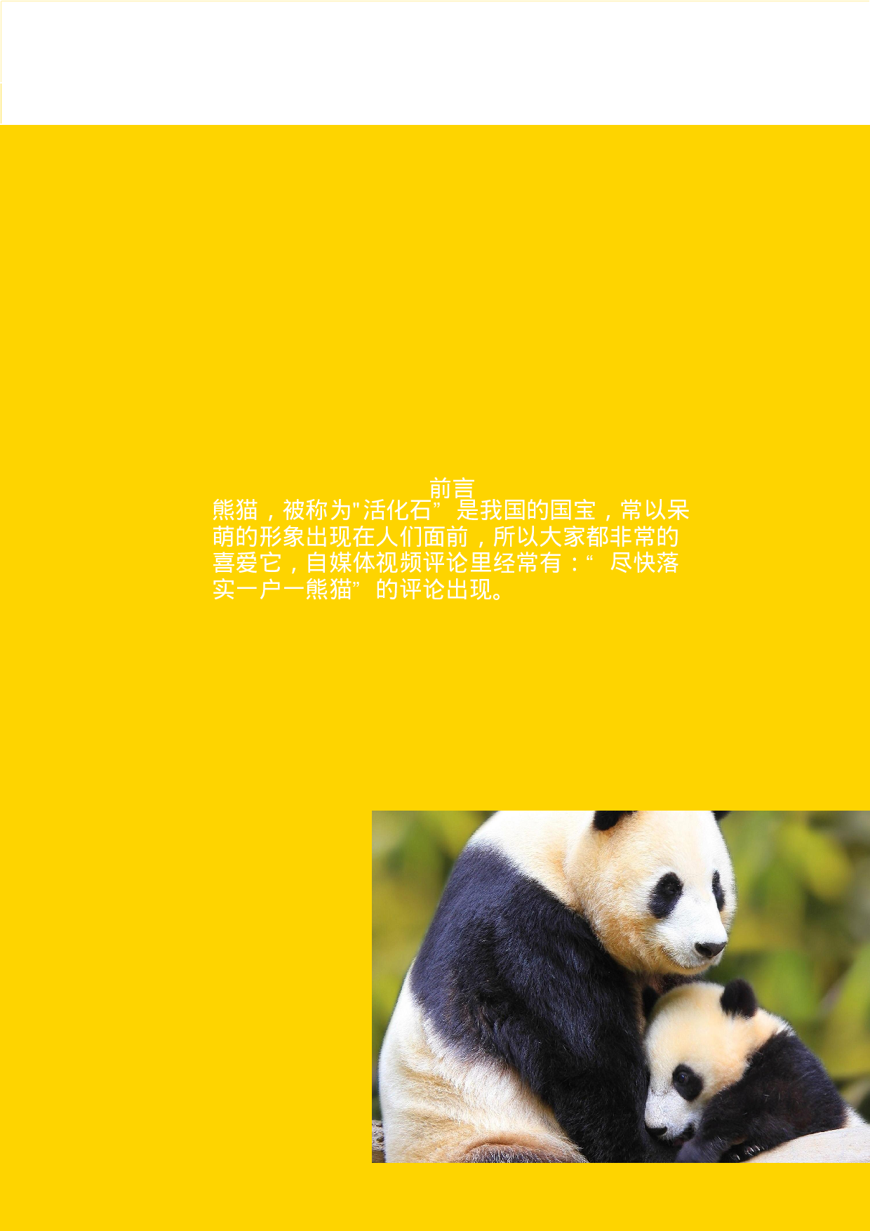 熊猫IP形象与首饰设计-5621字.pdf 第6页