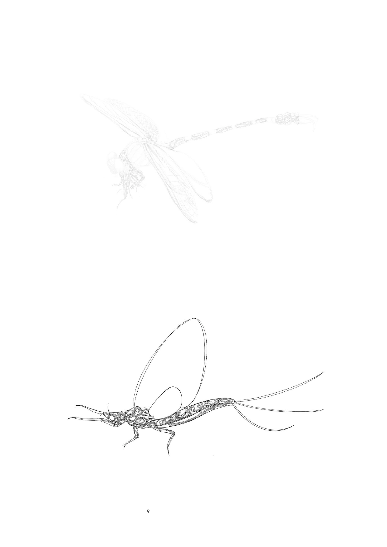昆虫日记主题插画设计-4510字.docx 第8页
