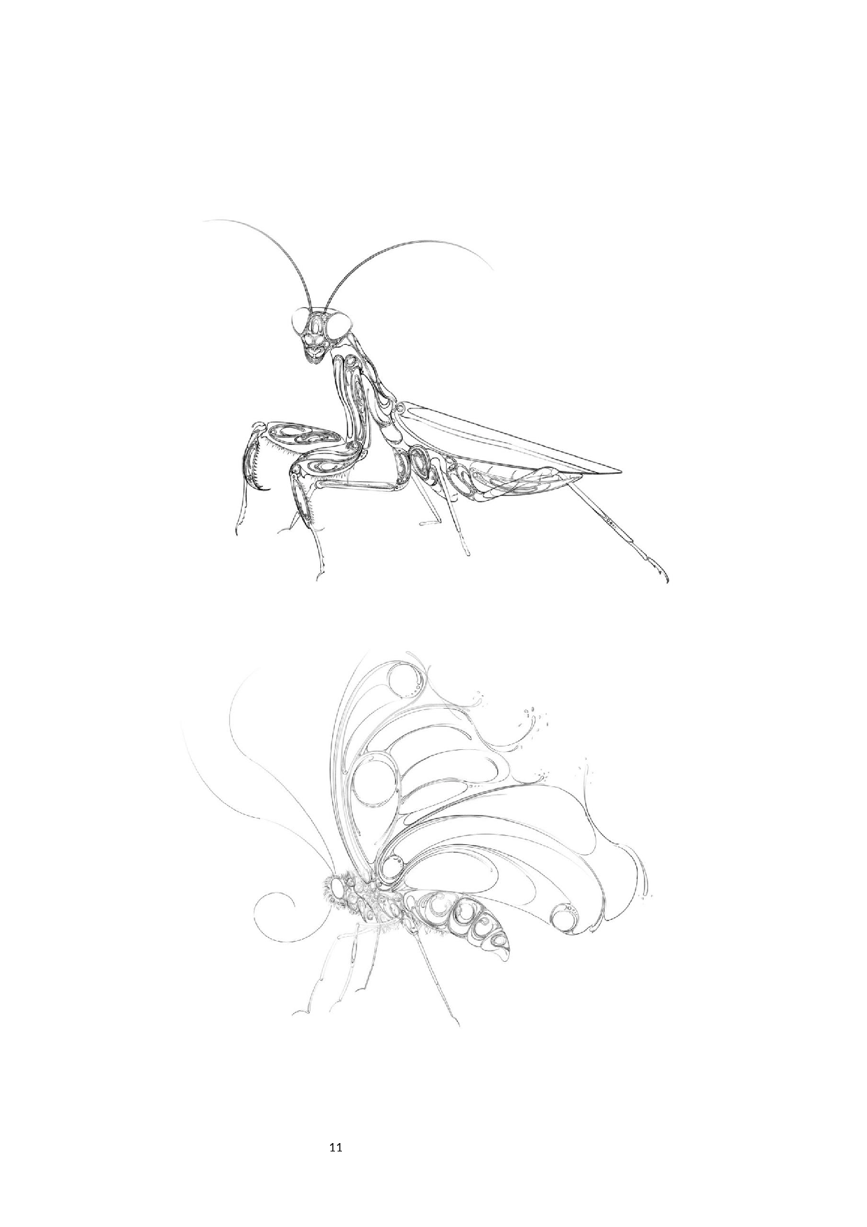 昆虫日记主题插画设计-4510字.docx 第10页