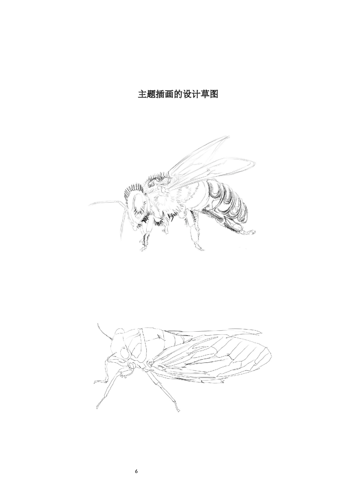 昆虫日记主题插画设计-4510字.docx 第5页