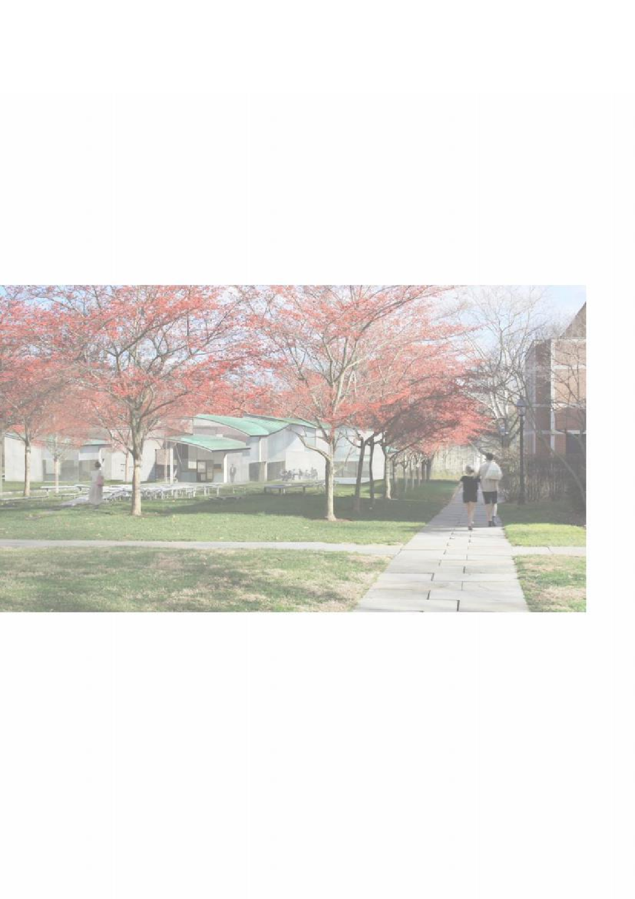 ഡ࠹აၜඌ࿐ჽ-1860字.pdf 第5页