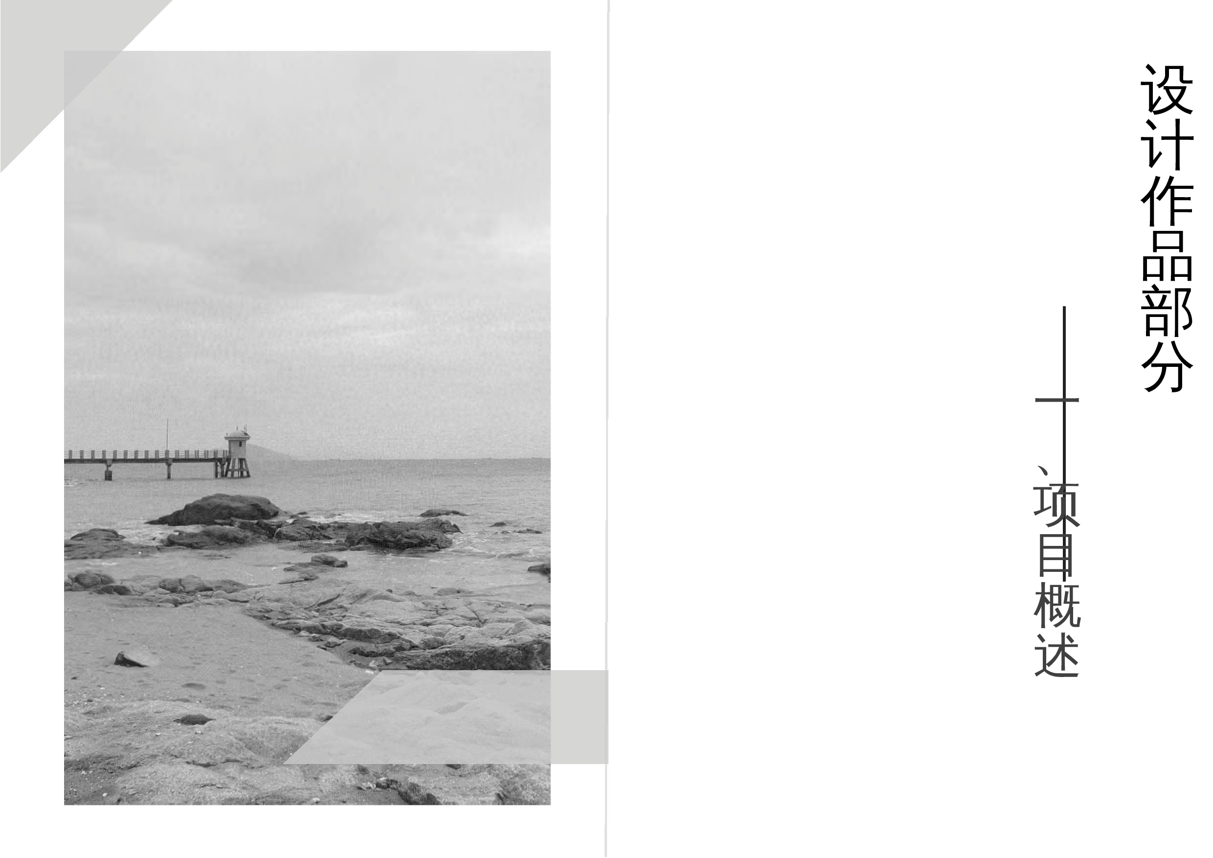 淇澳岛牛仔湾沙滩景观改造设计-2902字.docx 第3页