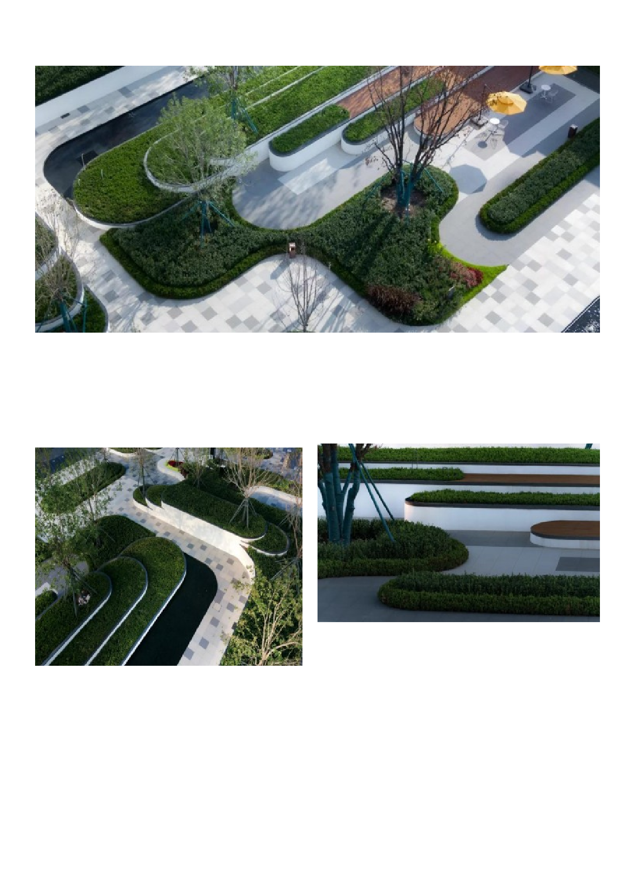 3.20定稿-6958字.docx 第9页