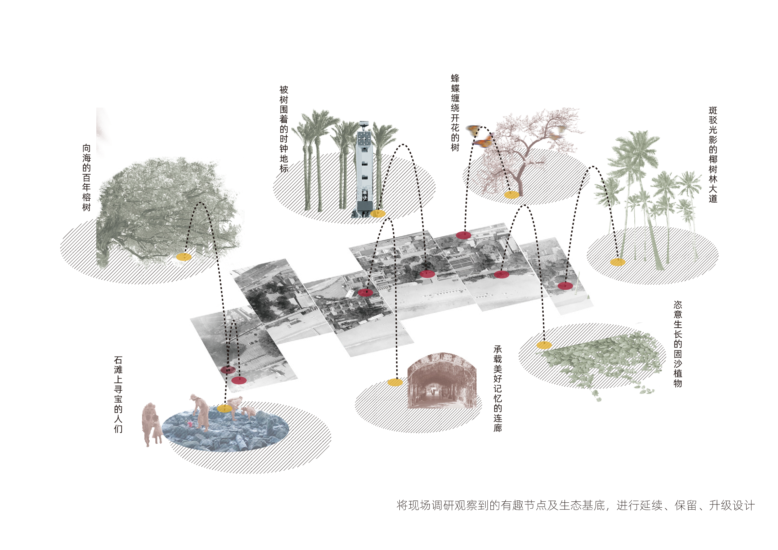 ZHUHAI CAMPUS.BEIJNG INSTITUTE OF TECHNOLOGY-11974字.pdf 第8页
