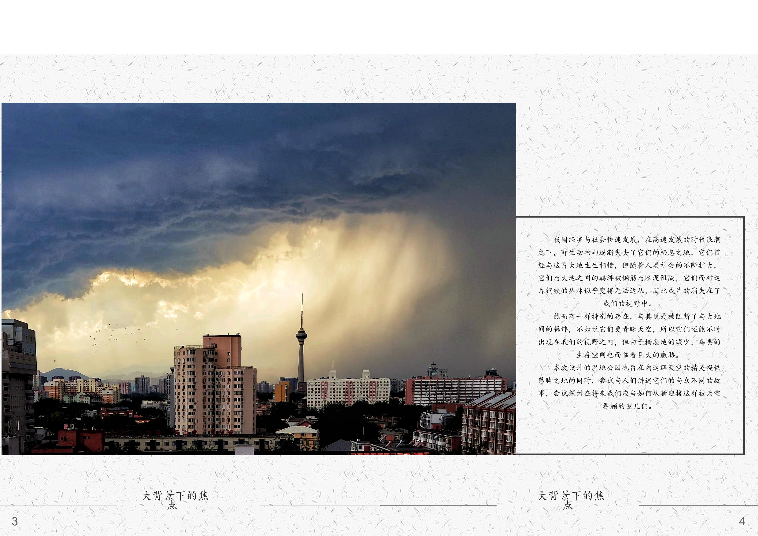 严柏祥181106100233（专册）-10139字.pdf 第2页