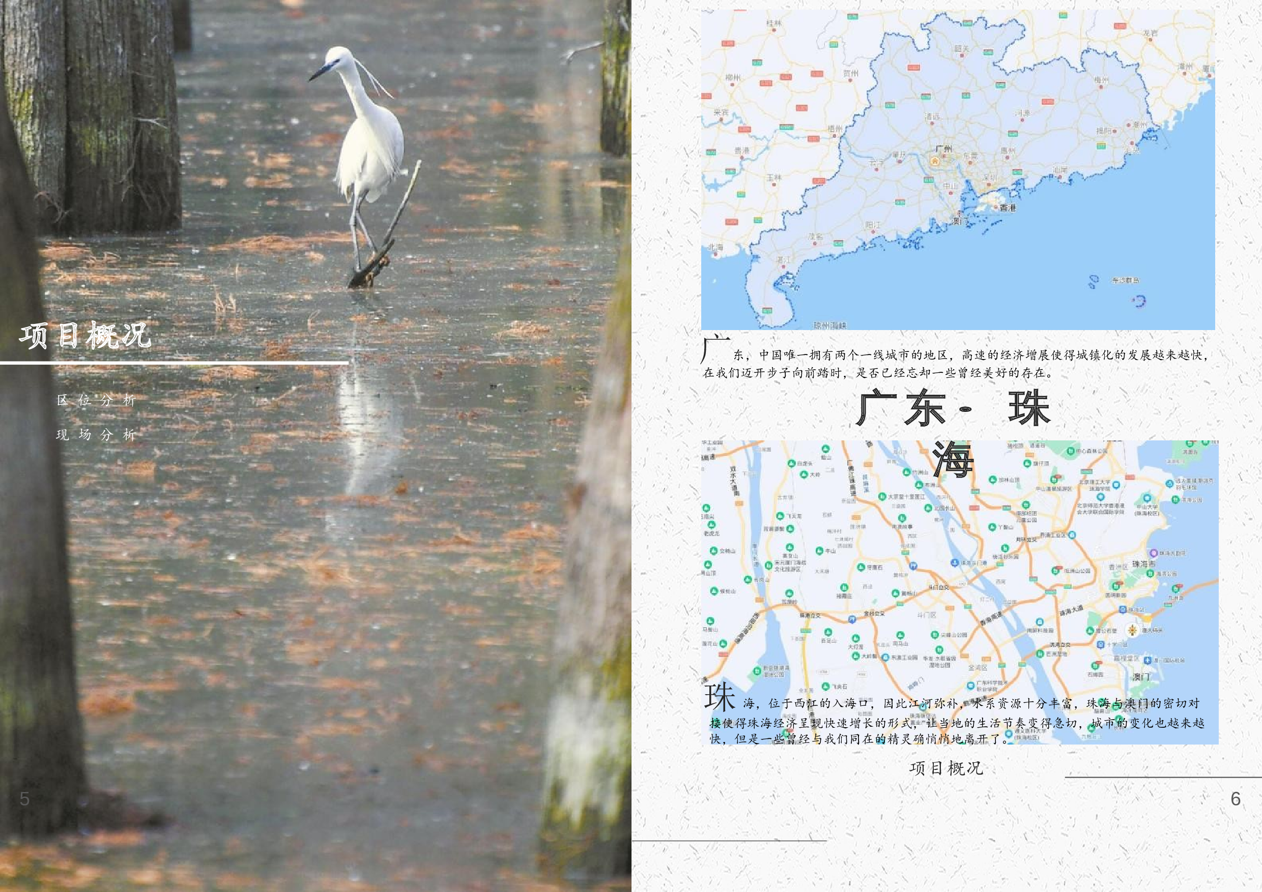 严柏祥181106100233（专册）(1)(1)(1)-10121字.docx 第3页