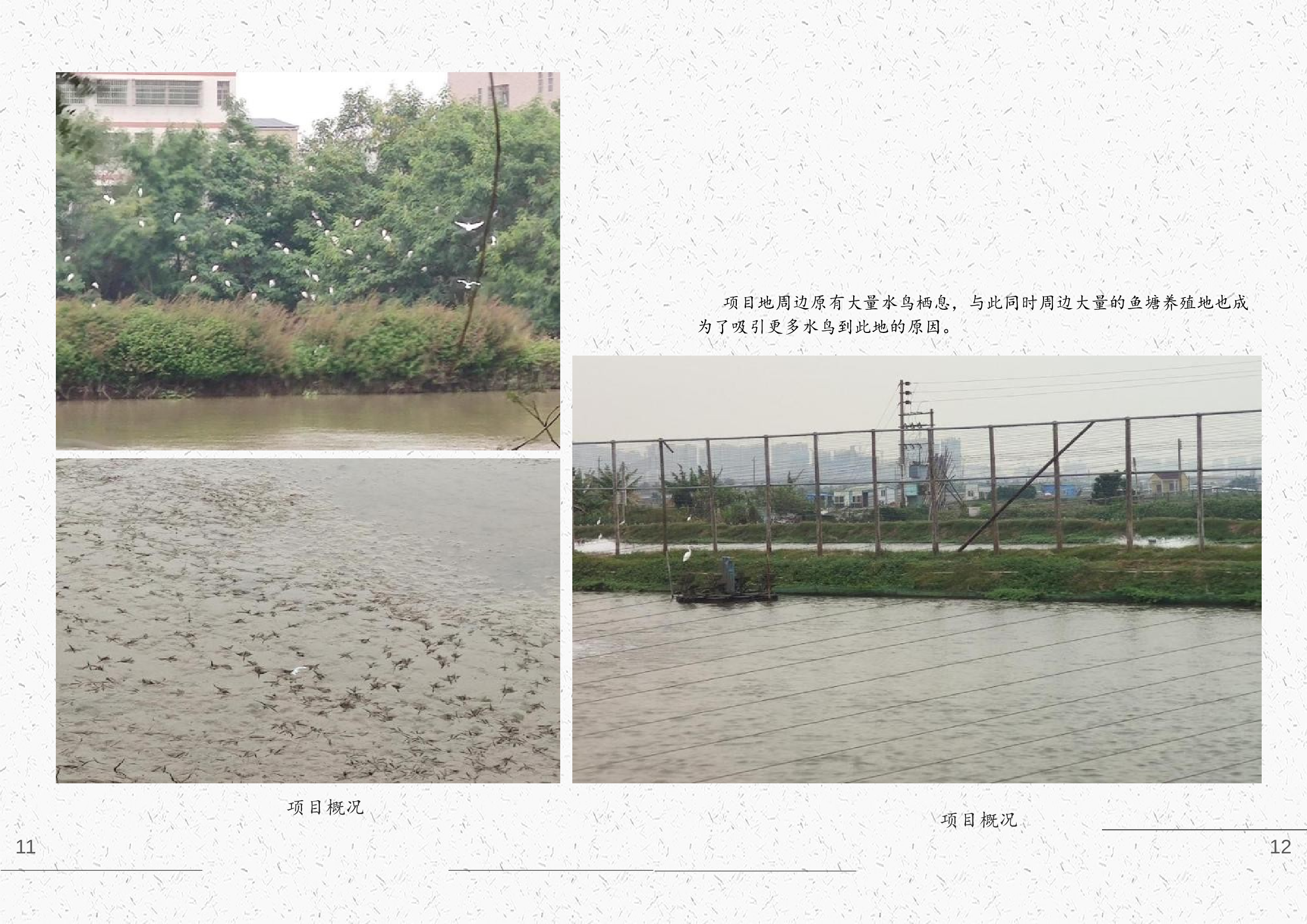 严柏祥181106100233（专册）(1)(1)(1)-10121字.docx 第6页