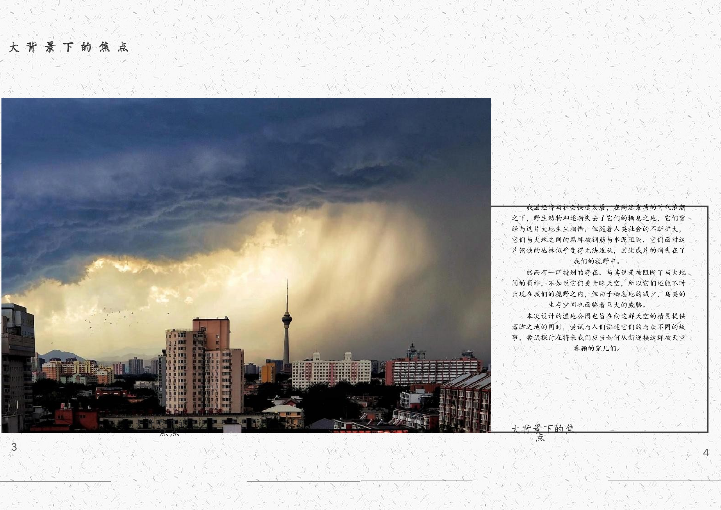 严柏祥181106100233（专册）(1)(1)(1)-10121字.docx 第2页