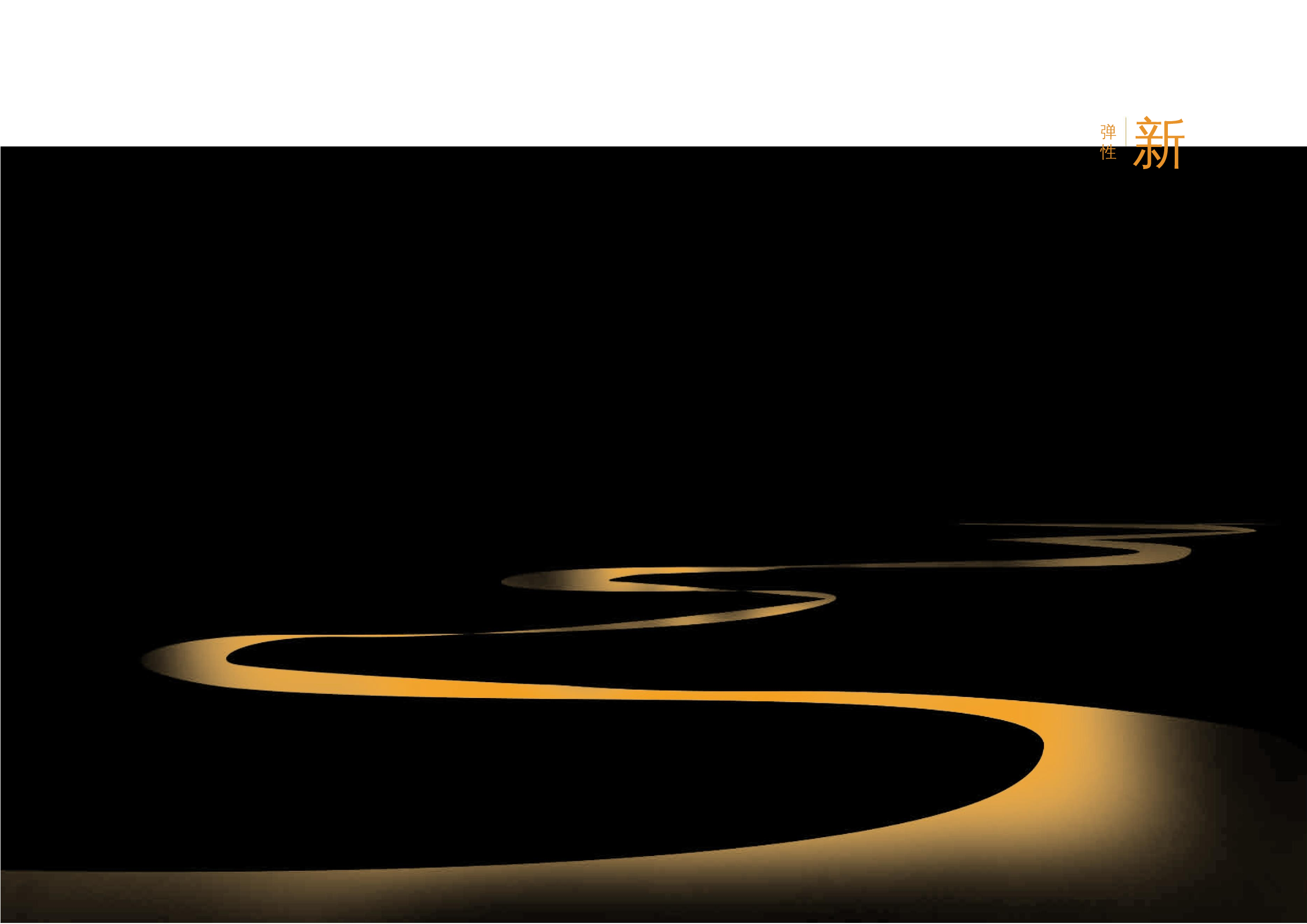 何东亮毕业设计册子-4953字.docx 第1页