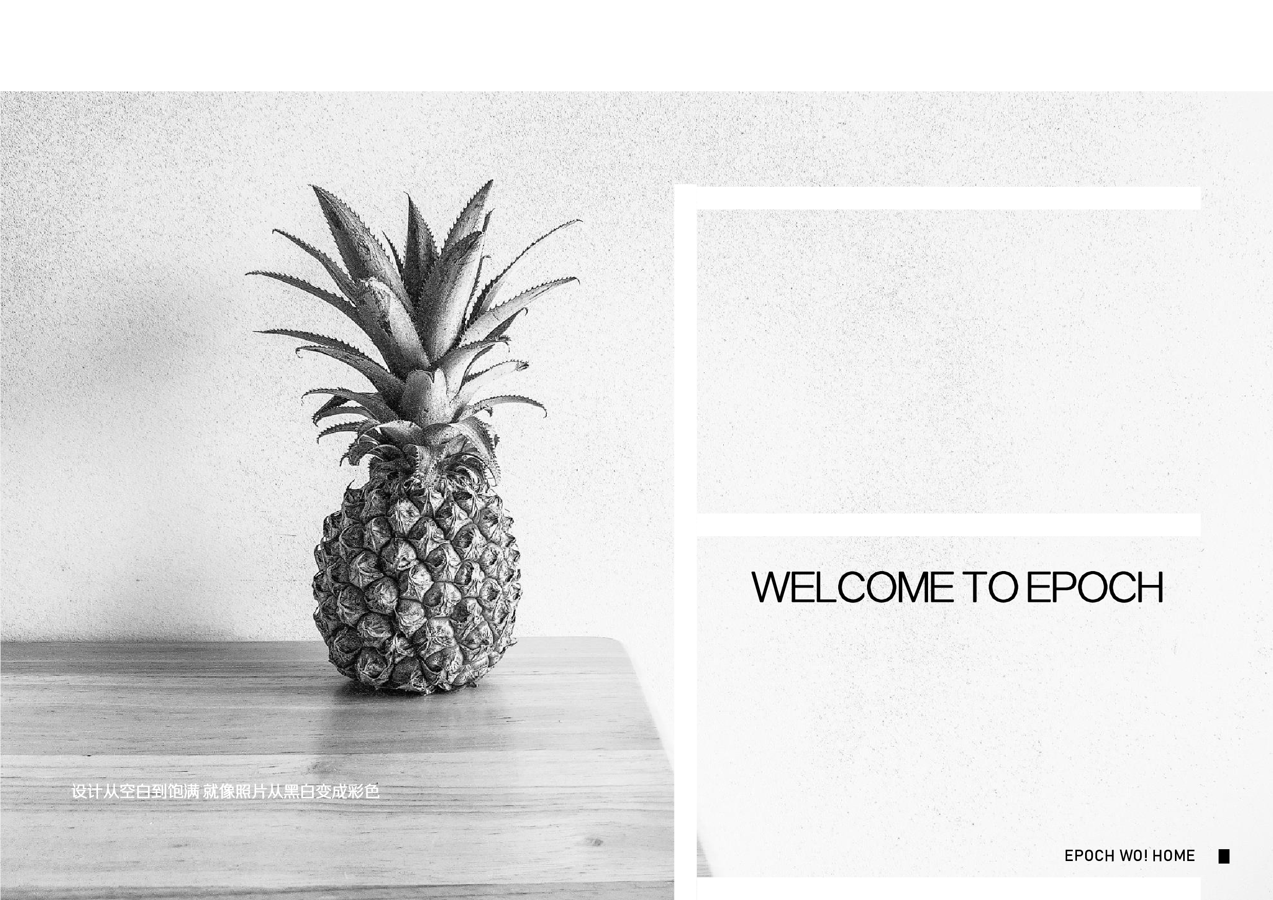 EPOCH大平层设计-1851字.pdf 第2页