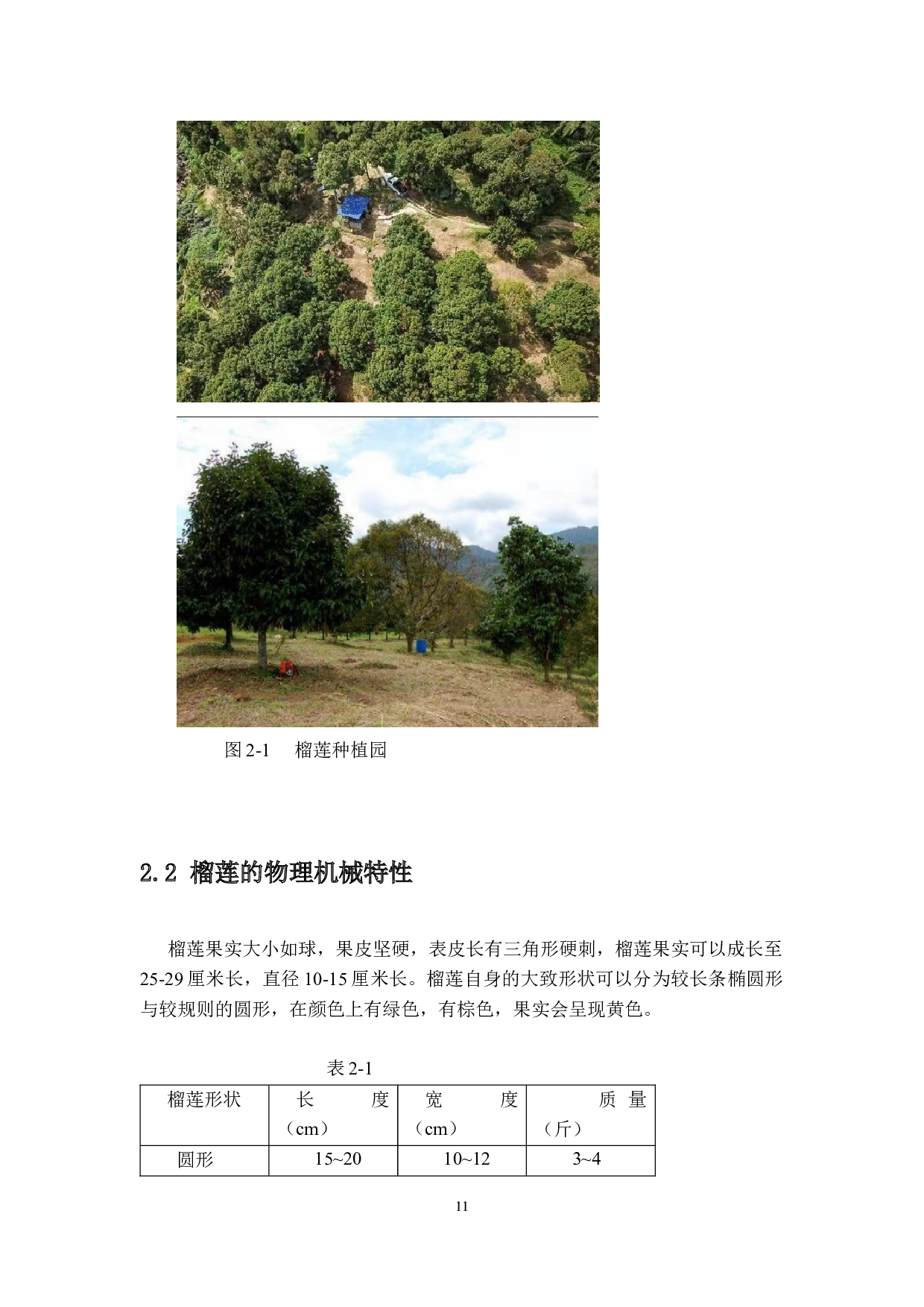 榴莲采摘机-榴莲的传送与存贮-11703字.docx 第9页
