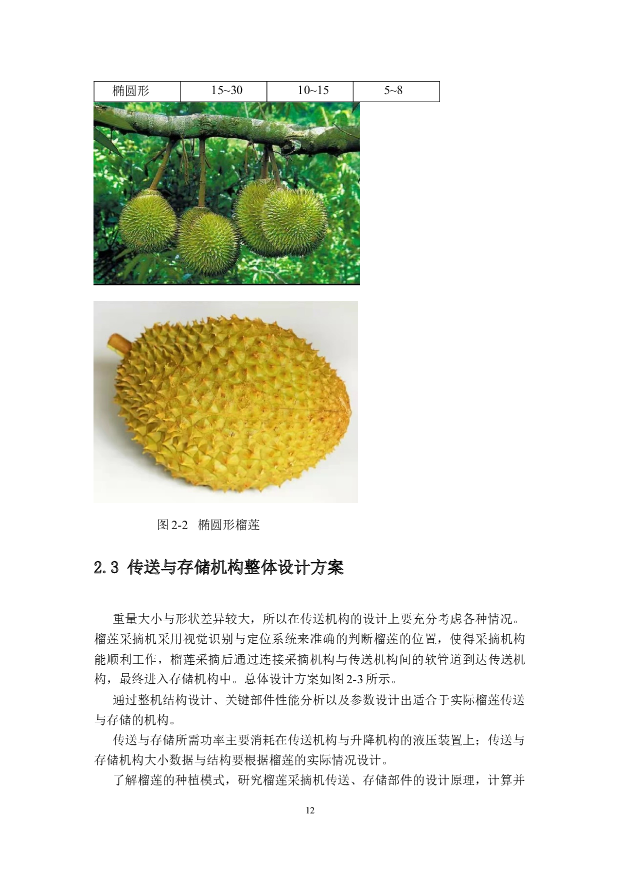 榴莲采摘机-榴莲的传送与存贮-11703字.docx 第10页