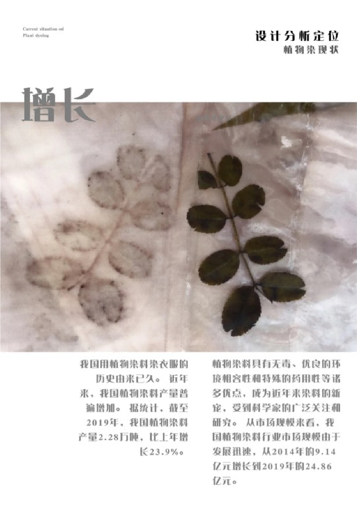 植物染在现代服饰中的应用-9237字.docx 第5页