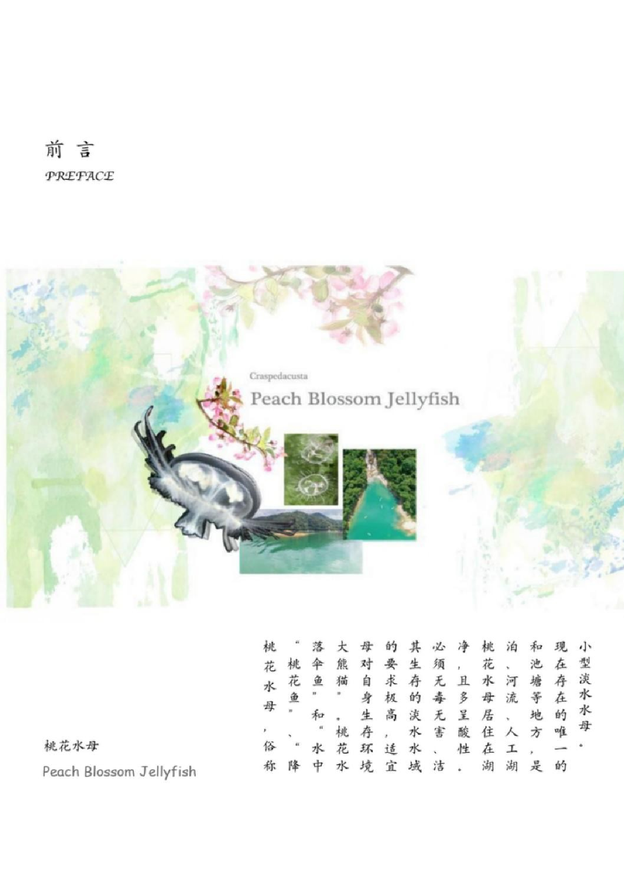 桃花水母元素在现代女装中的应用-10002字.docx 第5页