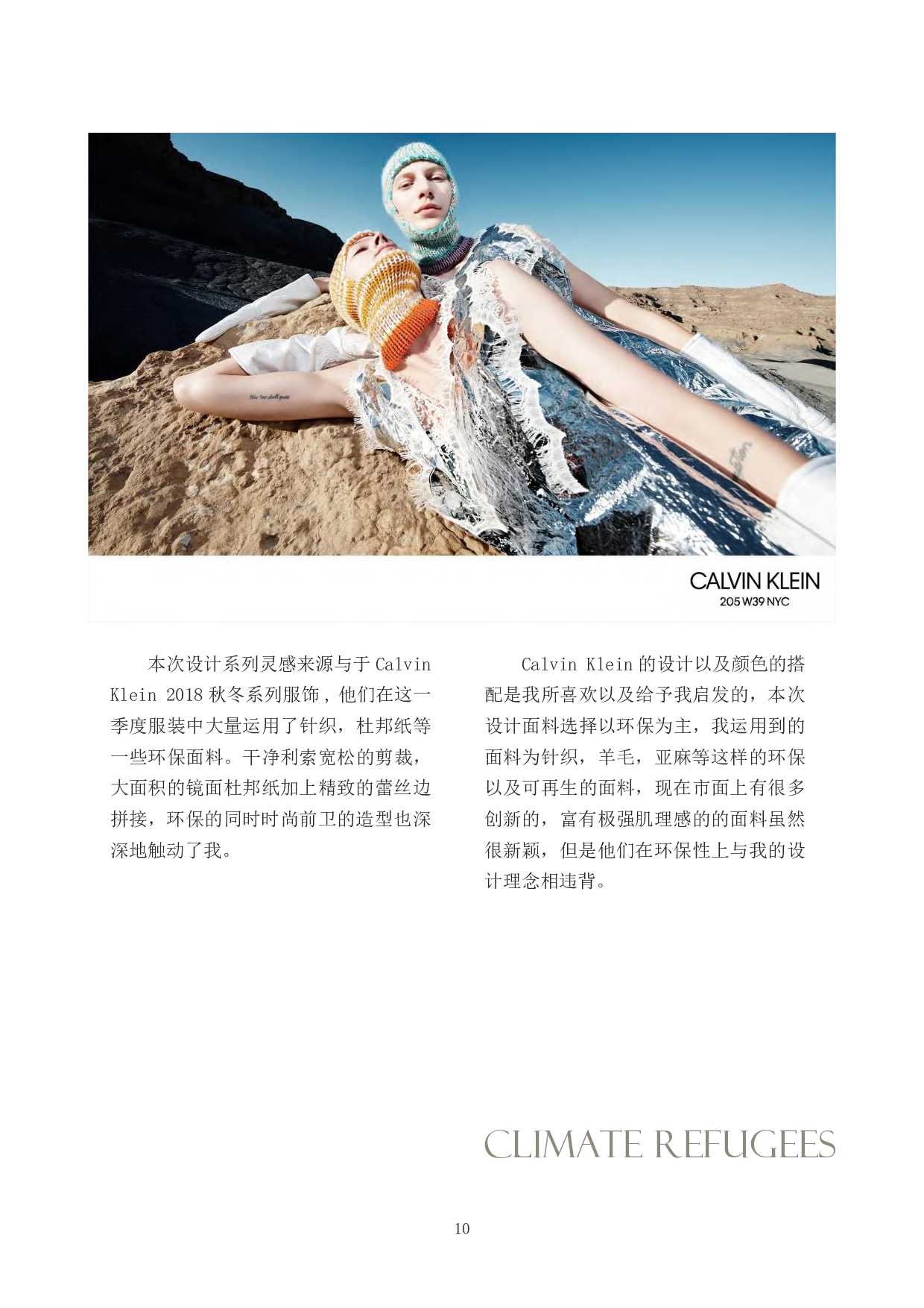 气候难民-环保面料在现代女装中的应用-5541字.pdf 第8页
