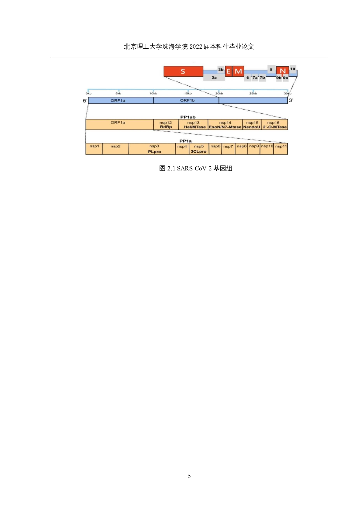老药新用&mdash;基于FDA药物数据库筛选新冠病毒主蛋白酶抑制剂的研究-10539字.docx 第8页