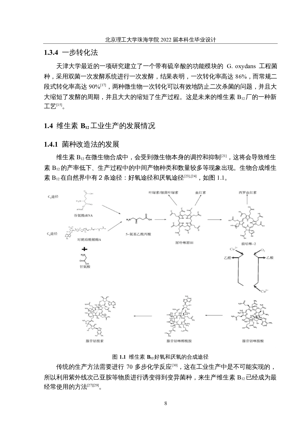 年产700吨维生素B12的生产车间设计-16855字.docx 第8页
