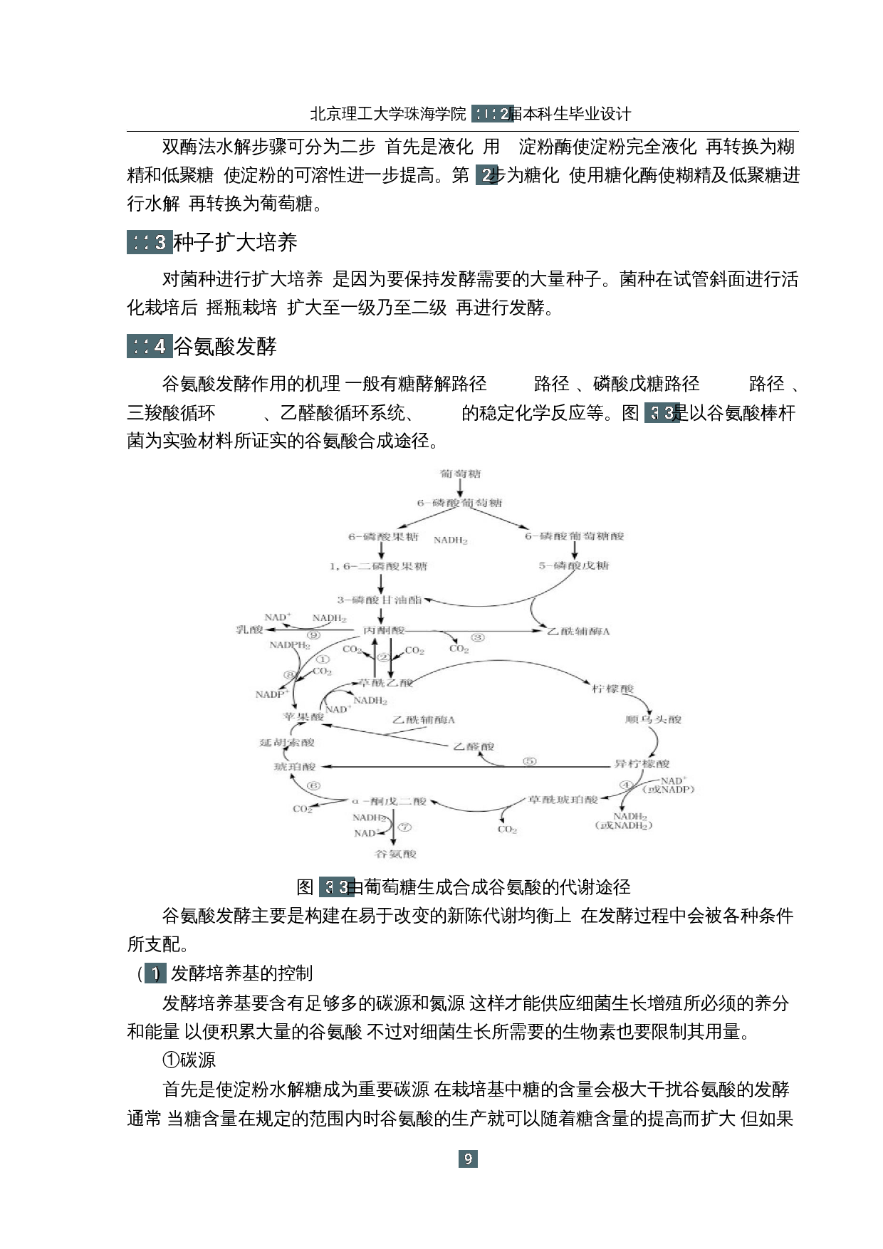 年产三万吨味精发酵车间设计-13024字.docx 第8页