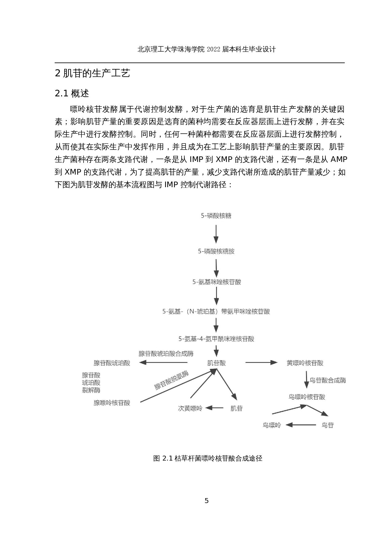 年产2000吨肌苷生产工艺-20493字.docx 第10页