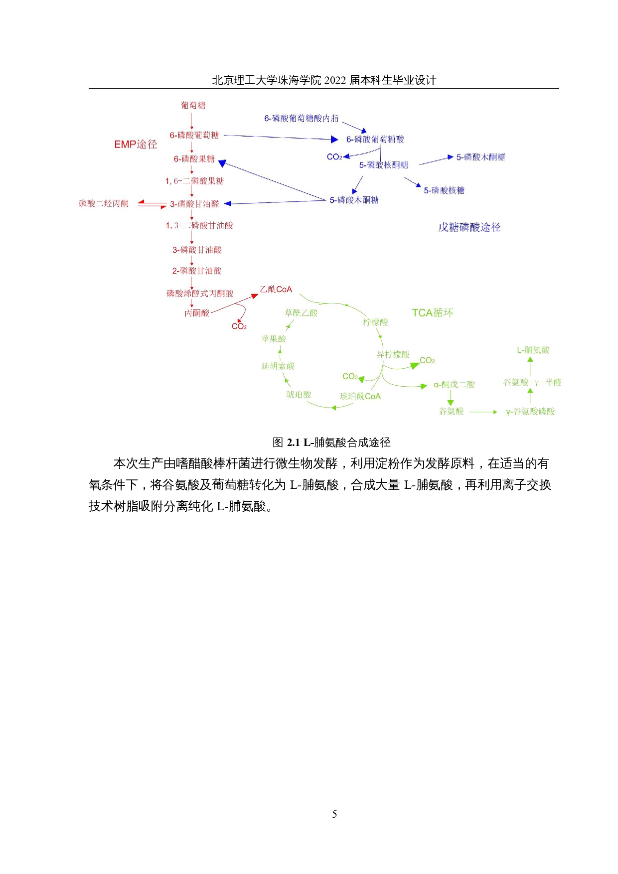 年产2000吨L-脯氨酸的生产车间设计-19010字.docx 第10页