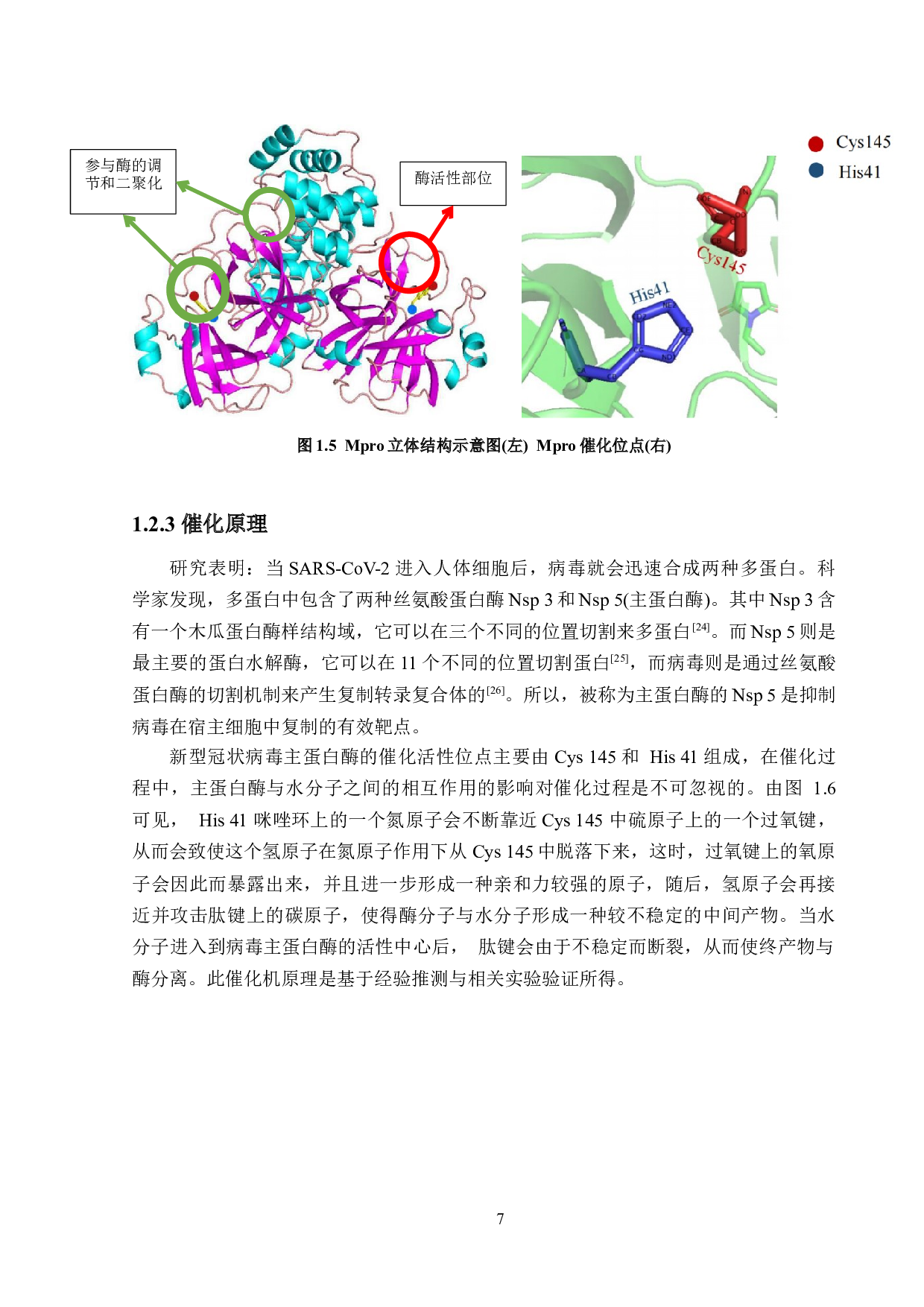 大规模筛选新型冠状病毒主蛋白酶抑制剂-13591字.docx 第10页