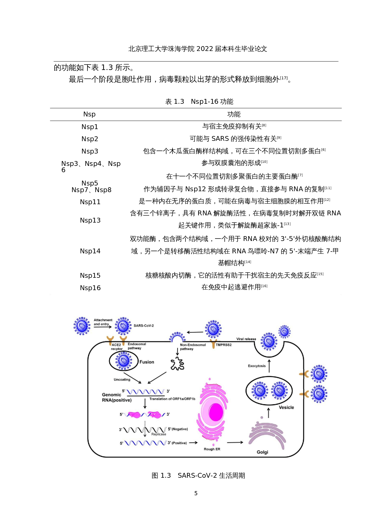 大规模筛选新冠病毒RNA依赖RNA聚合酶抑制剂的研究-19240字.docx 第10页