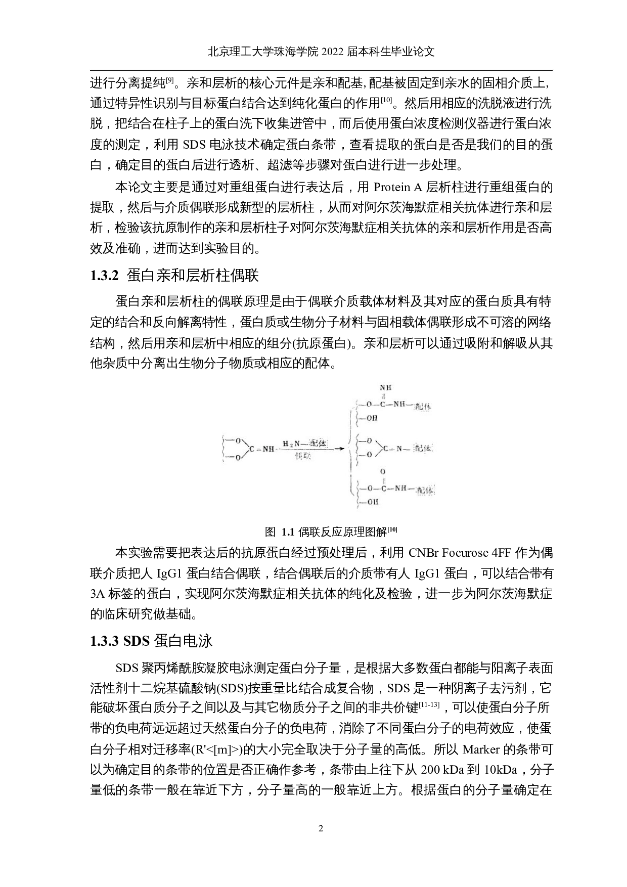 阿尔茨海默症相关抗原的重组蛋白表达与纯化-25041字.docx 第7页