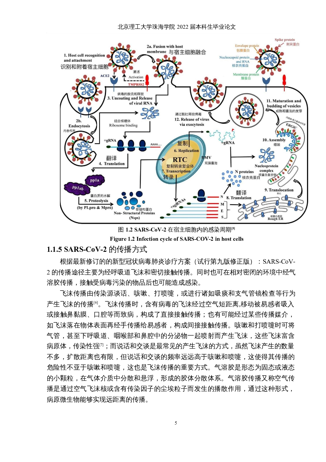 药食两用中药里潜在抗COVID-19活性成分的虚拟筛选及分子动力学模拟计算-23090字.docx 第9页
