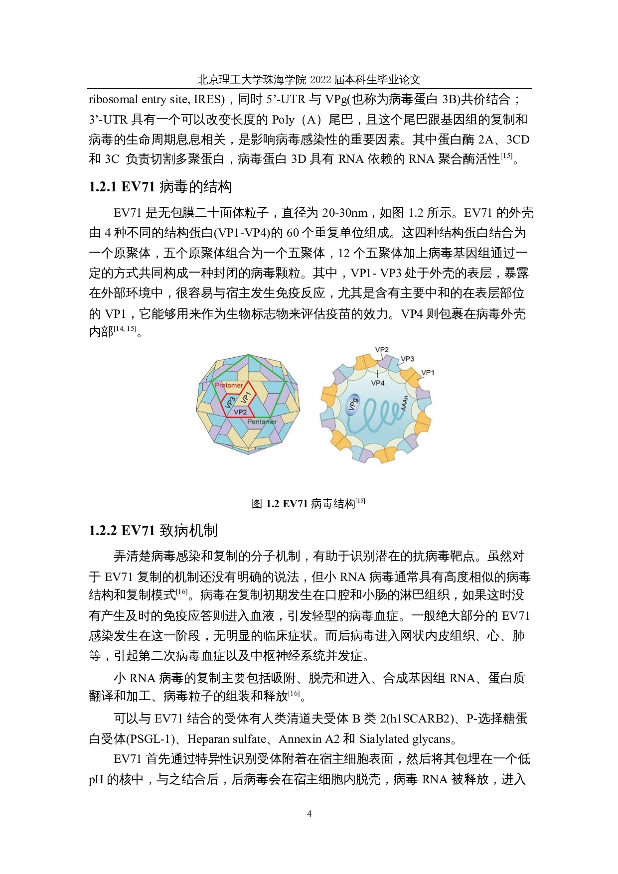 抑制手足口病的药食两用中药活性成分的计算机筛选及分子动力学模拟计算-21652字.docx 第10页