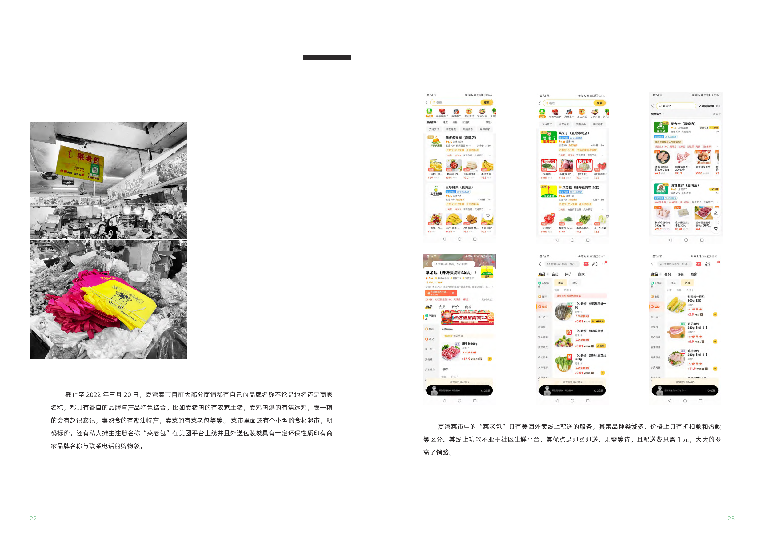 夏湾市场菜市字体视觉设计-7979字.pdf 第10页