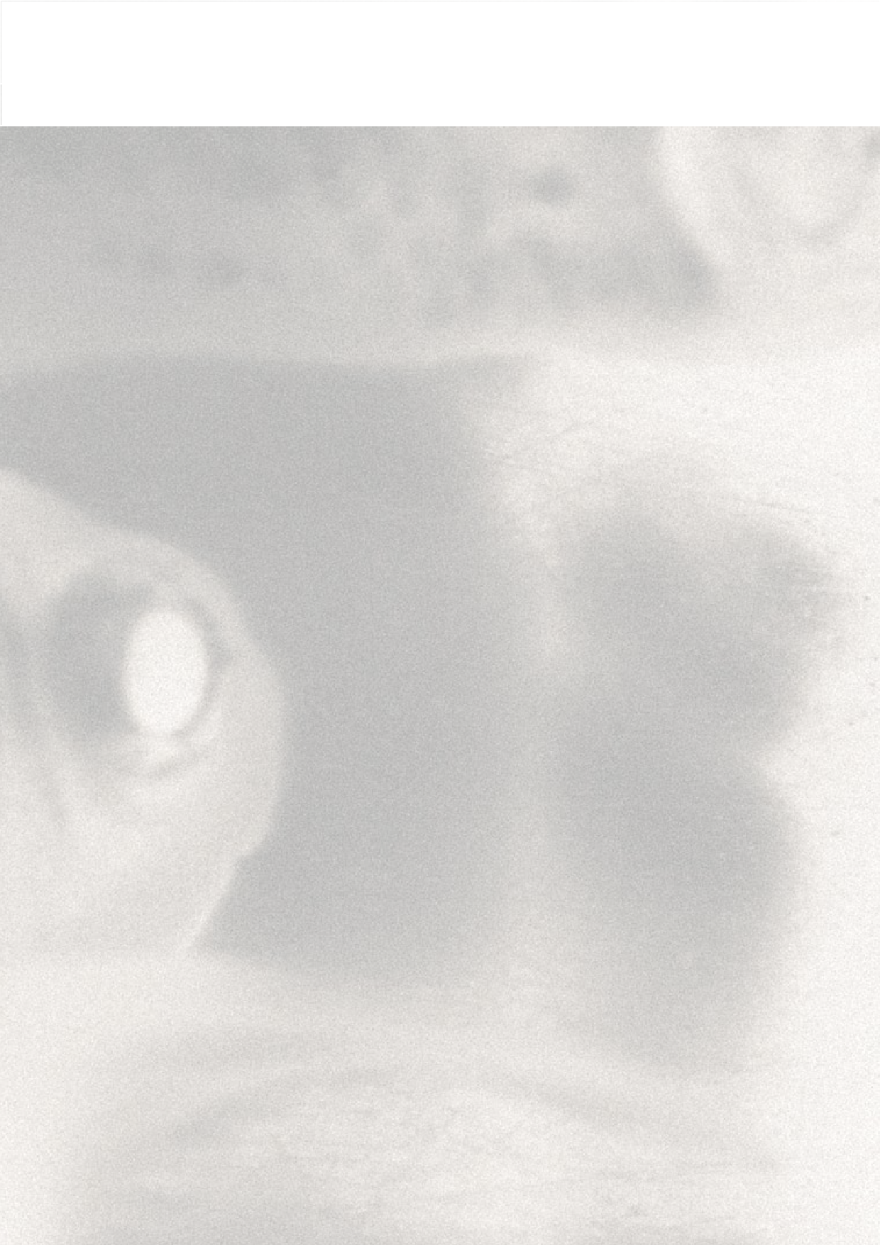 《海拔O米》伶仃海洋文化书籍设计-8889字.pdf 第6页