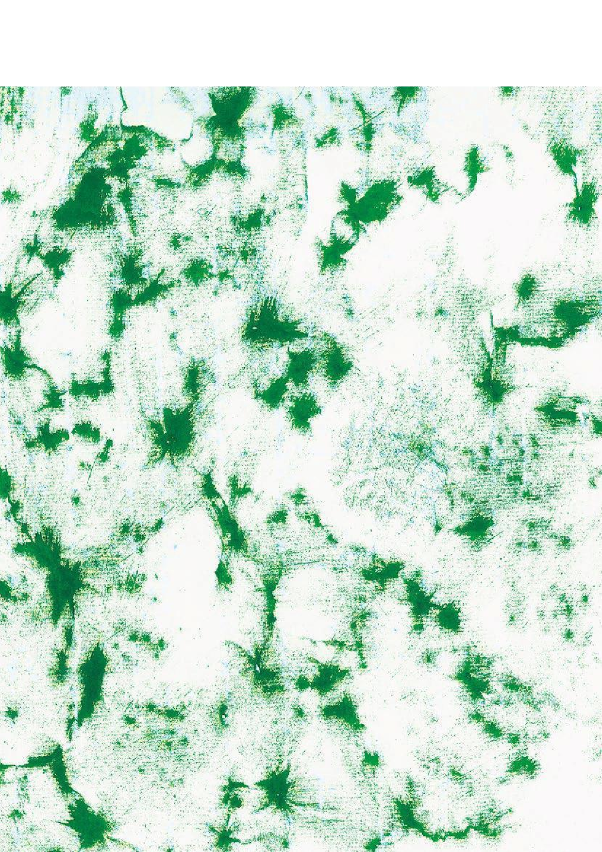 《城中树》文化书籍设计-6446字.pdf 第3页