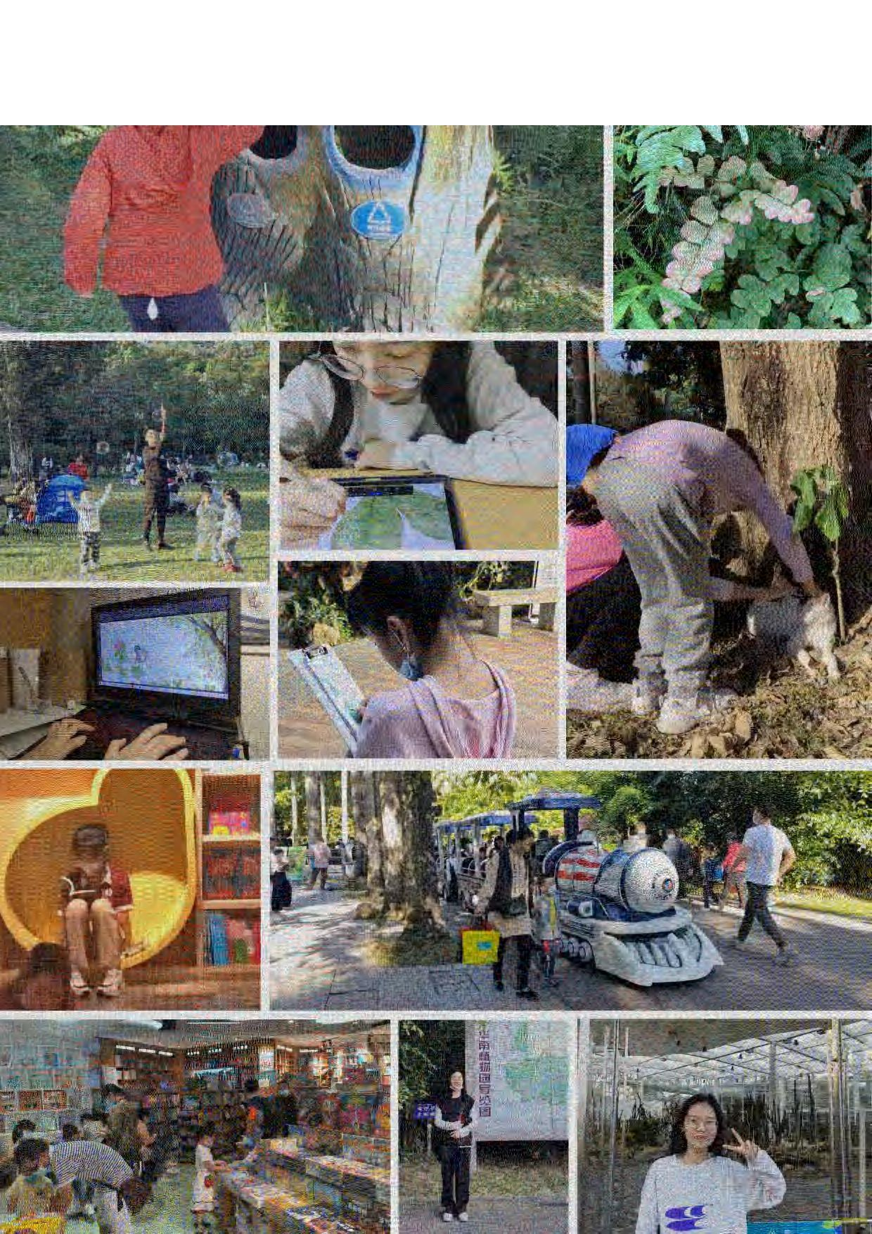 &rdquo;落叶知间&ldquo;儿童科普插画及衍生设计-0字.pdf 第4页