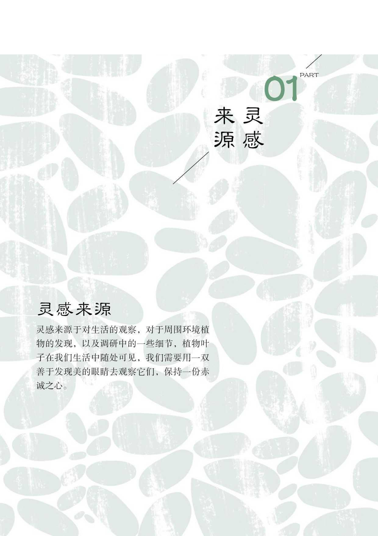 &rdquo;落叶知间&ldquo;儿童科普插画及衍生设计-0字.pdf 第6页