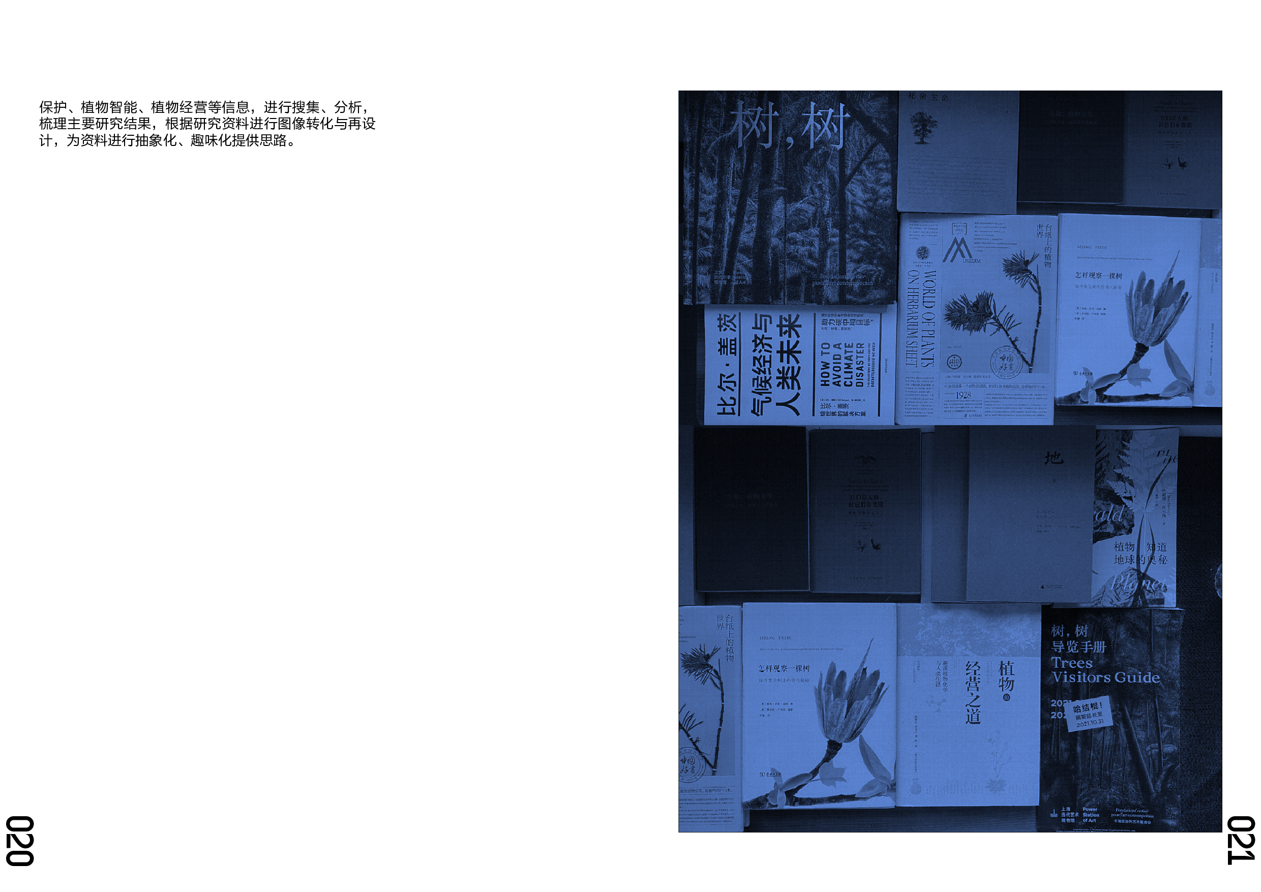 &ldquo;树为何，木为何&rdquo;生态保护主题视觉设计-4496字.pdf 第10页