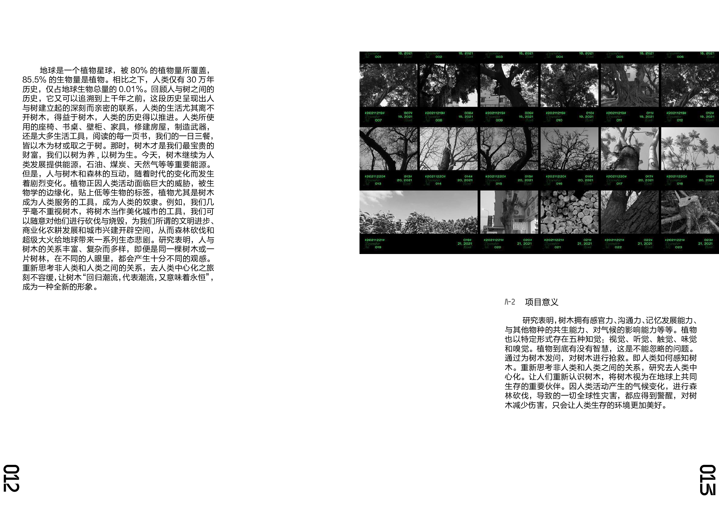 &ldquo;树为何，木为何&rdquo;生态保护主题视觉设计-4496字.pdf 第6页