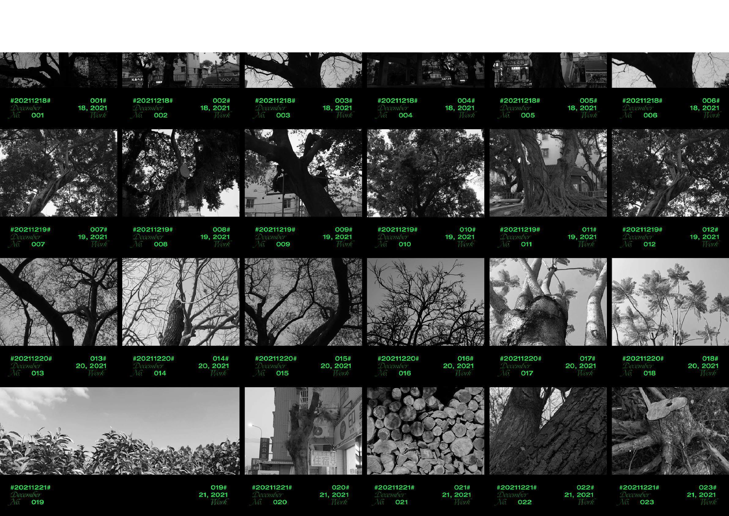 &ldquo;树为何，木为何&rdquo;生态保护主题视觉设计-4496字.pdf 第5页