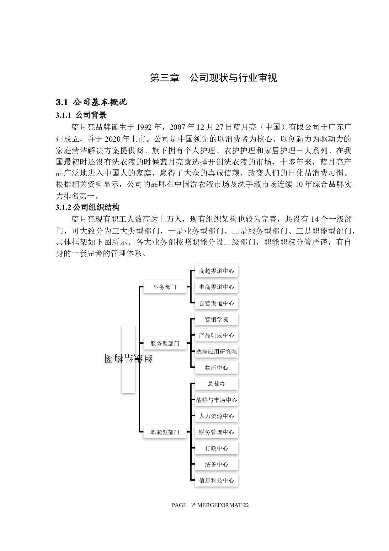 基于六个盒子模型的组织诊断--以蓝月亮（中国）有限公司为例-13016字.docx 第10页